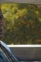 Nonton film Government Cheese Season 1 Episode 10 terbaru di Dutamovie21 Nonton film Government Cheese Season 1 Episode 10 terbaru di Dutamovie21
